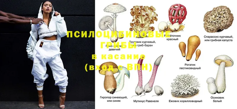 shop формула  мега маркетплейс  Алушта  продажа наркотиков  Галлюциногенные грибы Magic Shrooms 