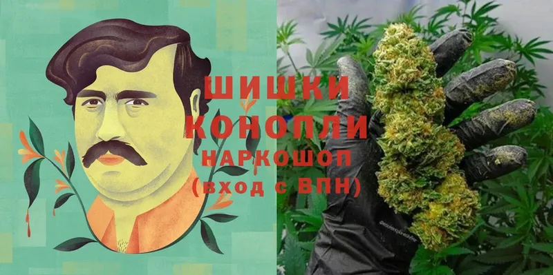 Конопля OG Kush  Алушта 